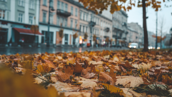 Smart Tips for Chicago Condos: Fall Cleanup &amp; Recycling