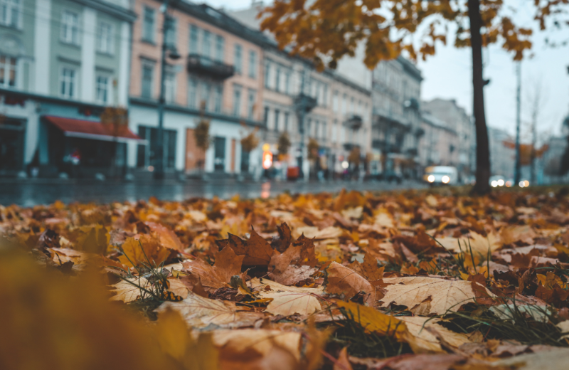 Smart Tips for Chicago Condos: Fall Cleanup &amp; Recycling