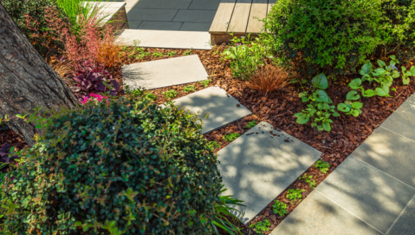 Embracing Native Landscaping: A Smart Move for Your Community Association