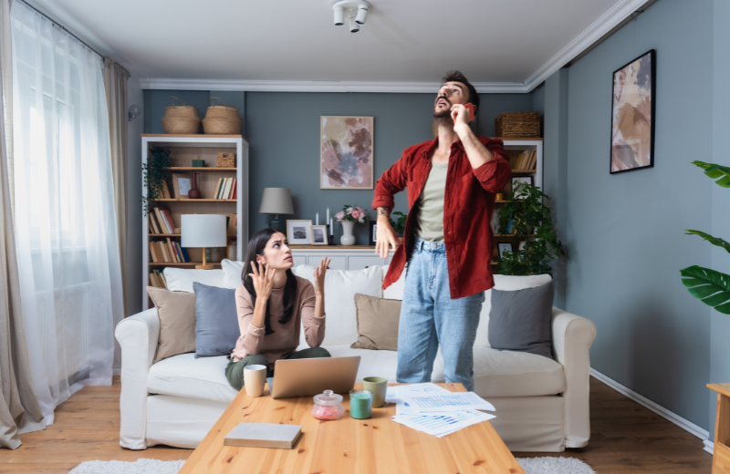 A Guide for Managing Common Nuisances for Boards and Residents